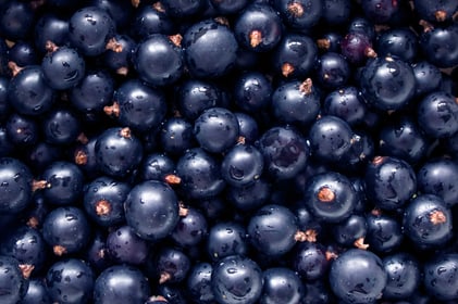 McCormick 2026 Flavor of the Year! Black Currant Flavor Spotlight