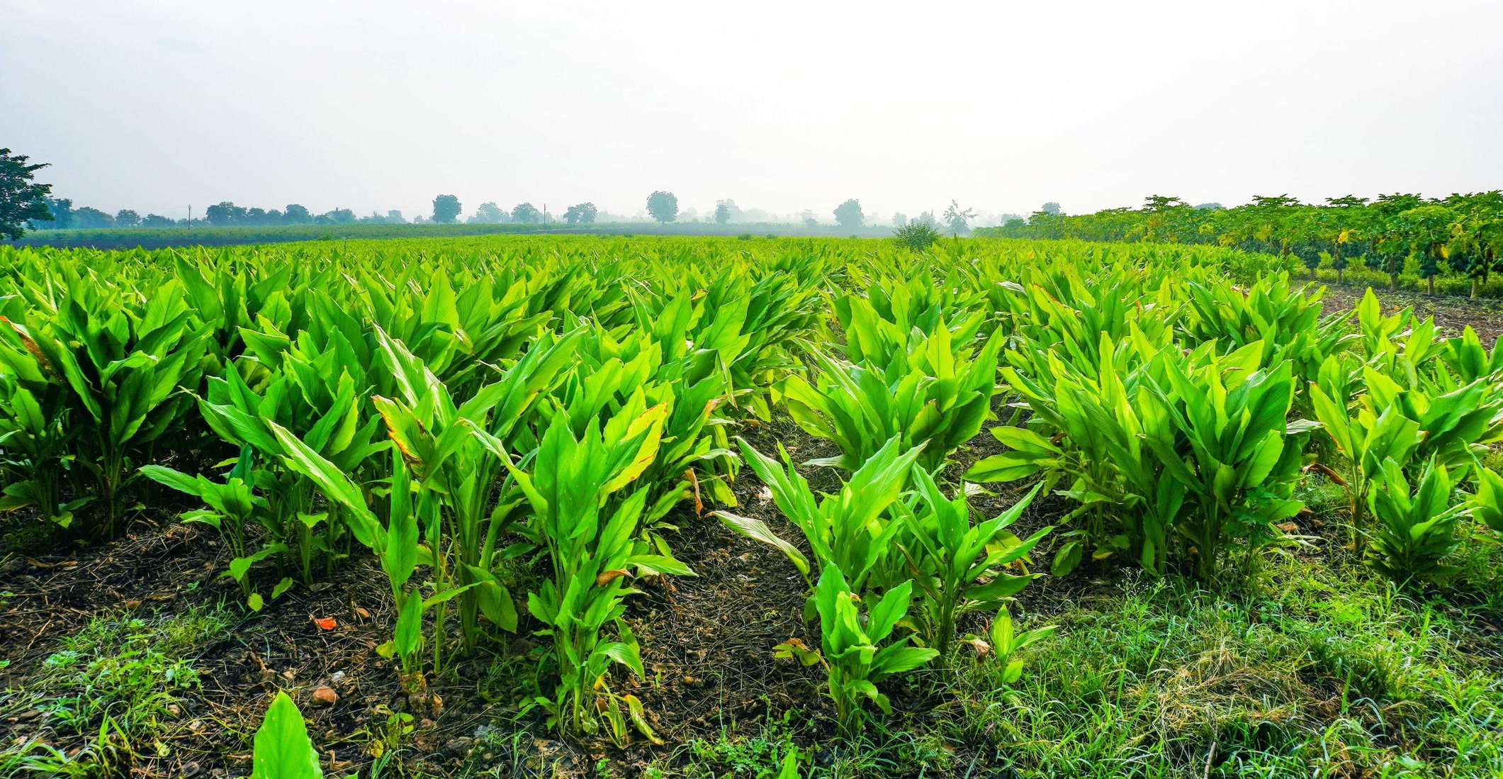 Clean-Farm-Image3