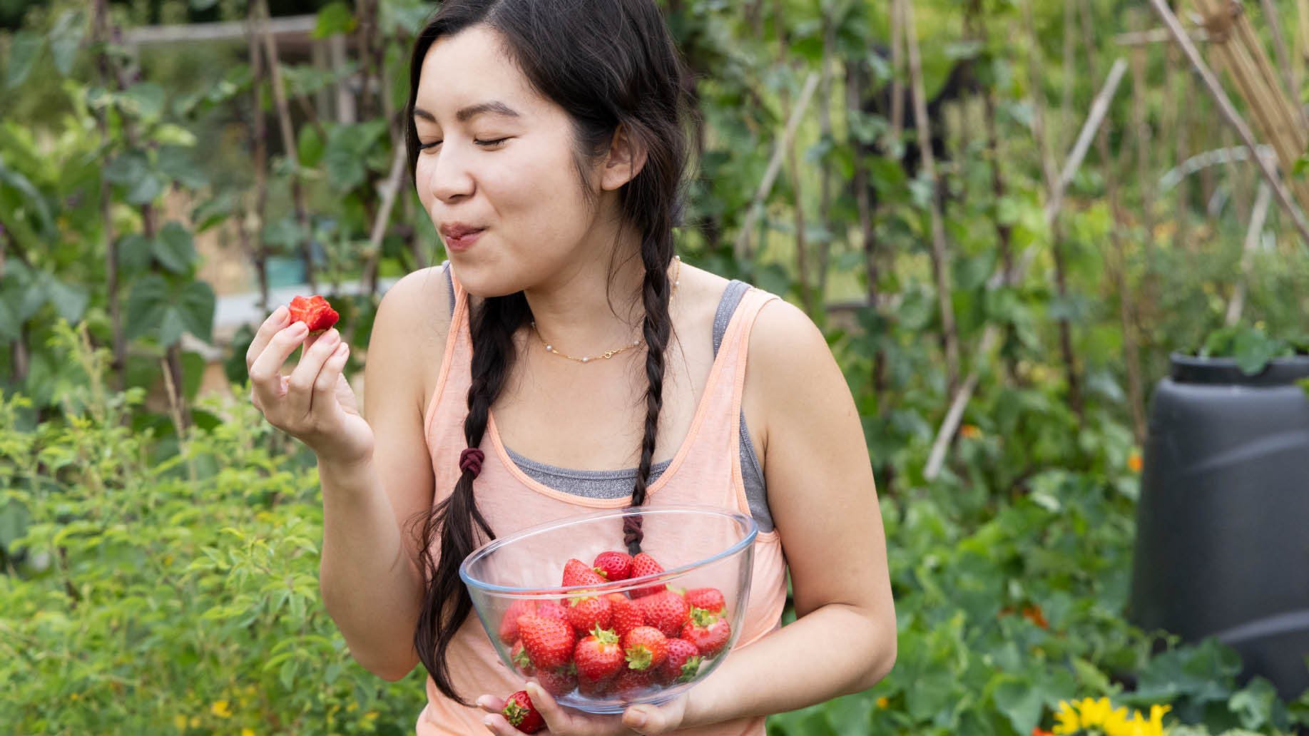 Fruit-Flavor-Header-Resize
